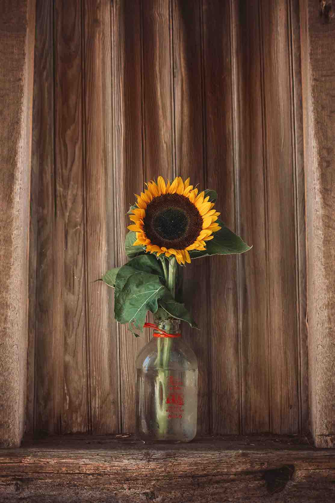 Flower 2