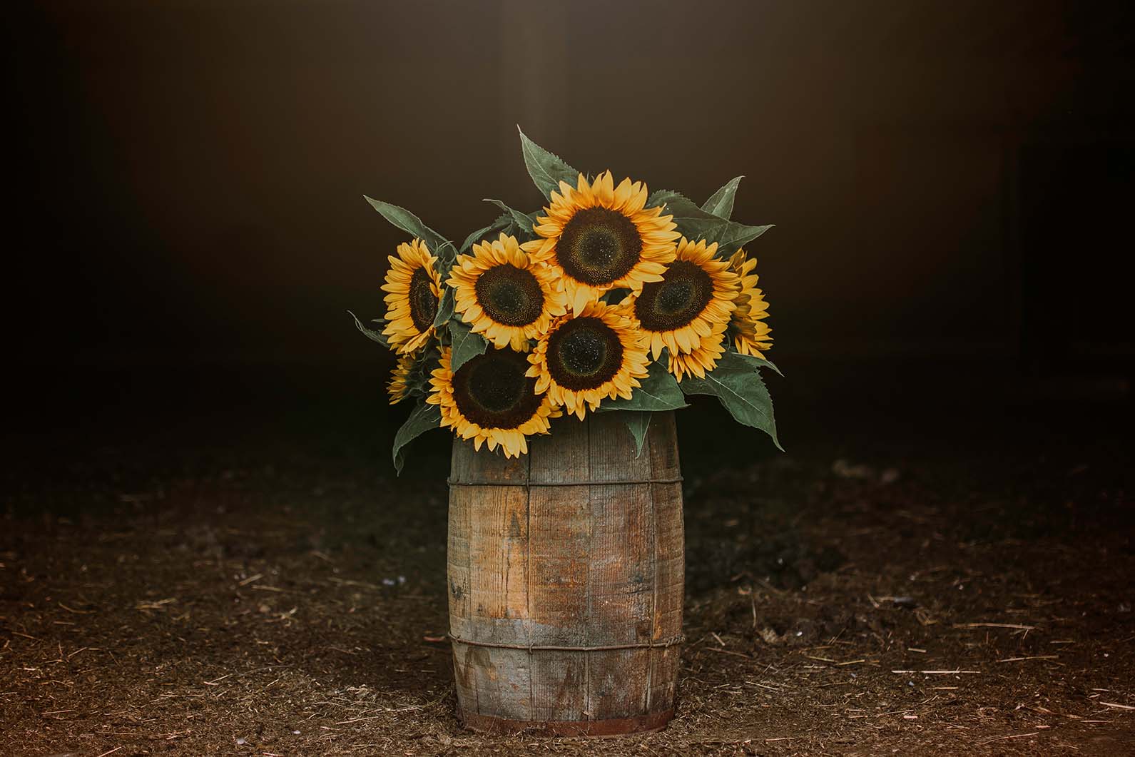 Flower 1